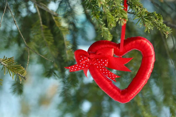 Ağaç dalı kalp dekorasyonu ile — Stok fotoğraf