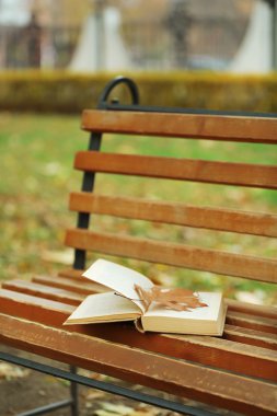 Sonbahar Park kahverengi bankta yalan yaprak ile açık kitap