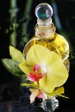 Su damlaları ve koyu renkli arka plan üzerinde parfüm şişe ile orkide çiçek