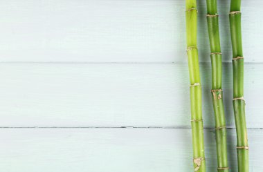 Ahşap arka plan bambu ağacı