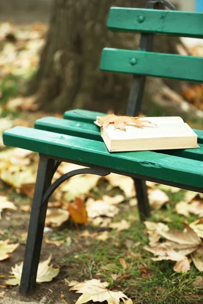 Livro aberto com folha deitada no banco no parque de outono — Fotografia de Stock