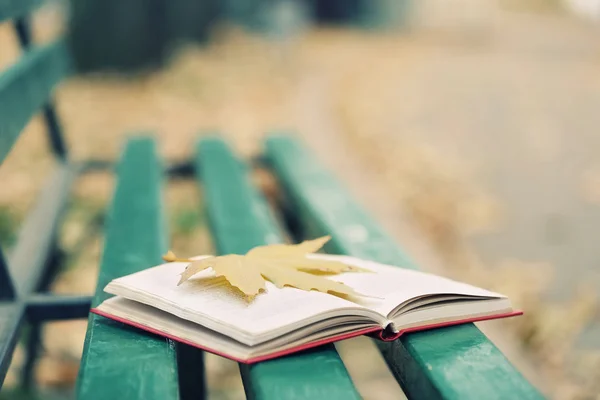 Otevřená kniha s listy na něm leží na lavici v podzimním parku — Stock fotografie