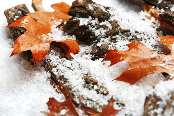 Pilha de cascas de árvores com folhas de outono na neve — Fotografia de Stock