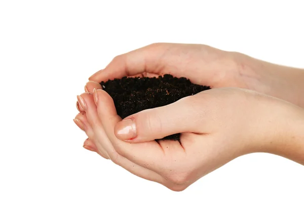 Handful of soil isolated on white — Stock Photo, Image