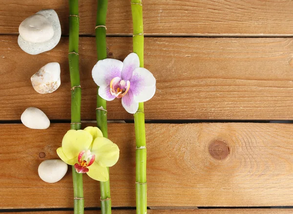 Květy orchidejí a bambus s hromady kamenů na dřevěné pozadí — Stock fotografie