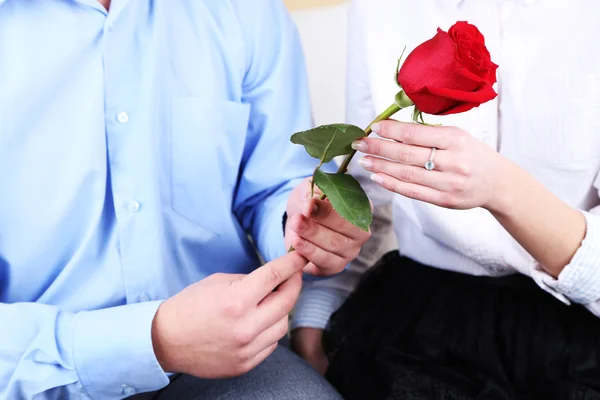 Hands of couple in love with red rose, closeup — Stock Photo, Image