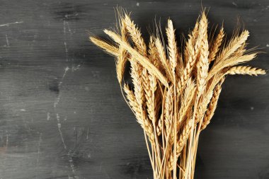Spikelets koyu ahşap arka plan üzerinde buğday