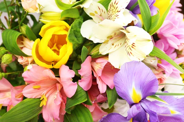 Bellissimi fiori da vicino — Foto Stock