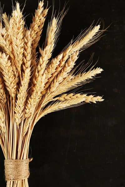 Spikelets of wheat on black wooden background — Stock Photo, Image