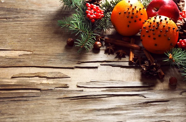 Fruits aux noix et épices du sapin de Noël — Photo