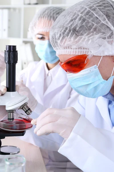 Científicos masculinos y femeninos usando microscopio en laboratorio —  Fotos de Stock