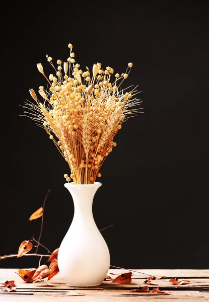 Gedroogde tarwe in vaas op donkere achtergrond — Stockfoto