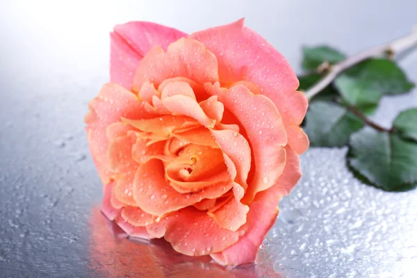 Bela rosa laranja na mesa close-up — Fotografia de Stock
