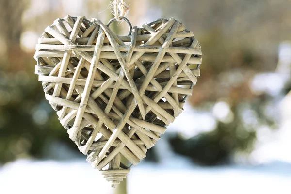 Trädgren med hjärta dekoration — Stockfoto