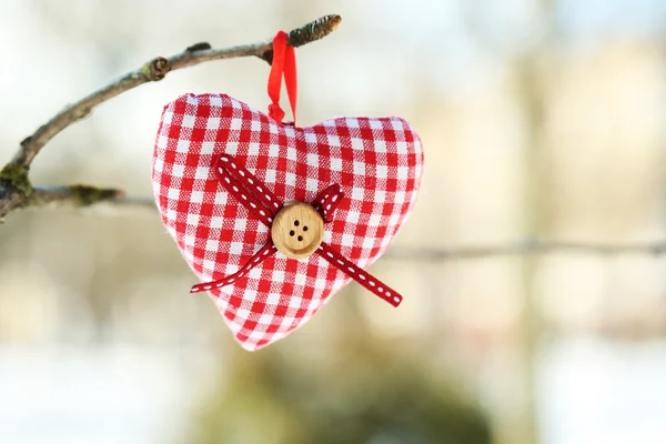 Tree branch with heart decoration — Stock Photo, Image