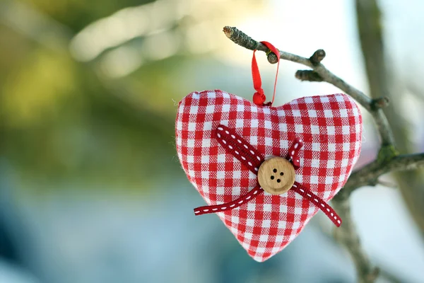 Tree branch with heart decoration — Stock Photo, Image