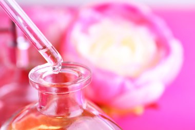 Damlalık şişe parfüm pembe bir arka plan üzerinde Şakayık ile