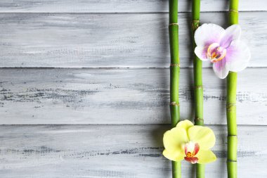 Orkide çiçekleri ve bambu ahşap arka plan üzerinde kazık taşlarla