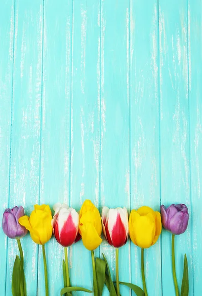 Beautiful flowers on color wooden background — Stock Photo, Image