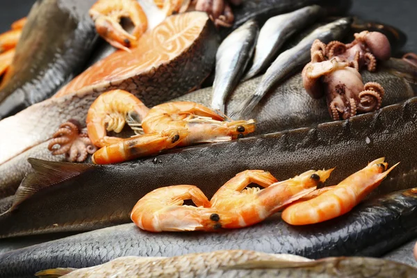 Fresh catch of fish and other seafood close-up — Stock Photo, Image