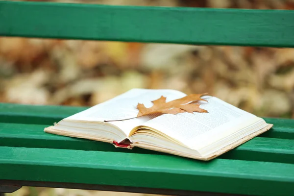 Livro aberto com folha deitada no banco no parque de outono — Fotografia de Stock