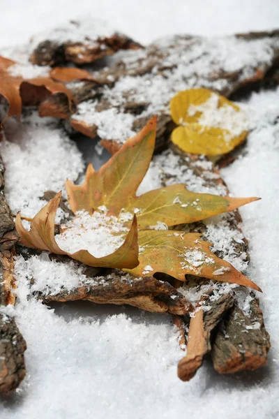 Montón de cortezas de árboles con hojas de otoño en la nieve — Foto de Stock