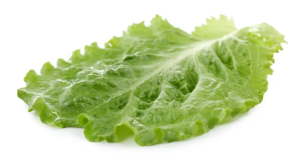 Grüner Salat isoliert auf weißem — Stockfoto