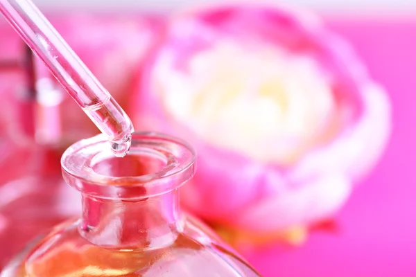 Flacon compte-gouttes de parfum avec pivoine sur fond rose — Photo