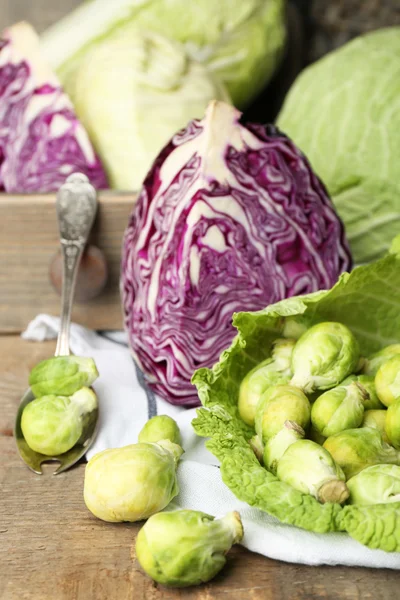 Stilleben med sortiment kål på trä bakgrund — Stockfoto