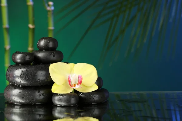 Flor de orquídea con gotas de agua y piedras de guijarro sobre fondo oscuro — Foto de Stock