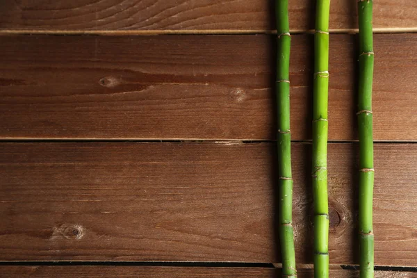 Árbol de bambú sobre fondo de madera — Foto de Stock