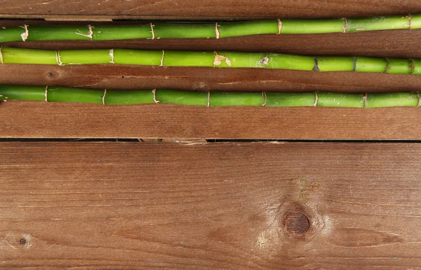 Bamboo tree on wooden background — Stock Photo, Image
