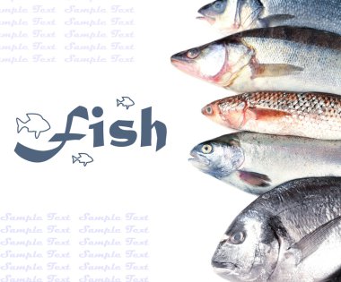 Beyazlar üzerinde taze balık.