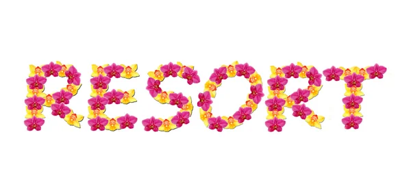Η λέξη Resort που διευκρινίζονται με orchid λουλούδια που απομονώνονται σε λευκό — Φωτογραφία Αρχείου