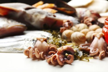 Taze catch balık ve diğer deniz ürünleri yakın çekim