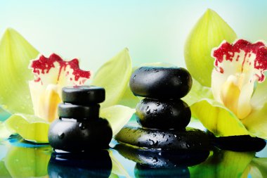 Su damlaları ve güzel çiçek açan orkide doğal zemin üzerine su Spa taşlarla