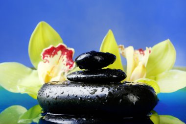 Buhar ve su yakın çekim güzel çiçek açan orkide Spa taşlarla