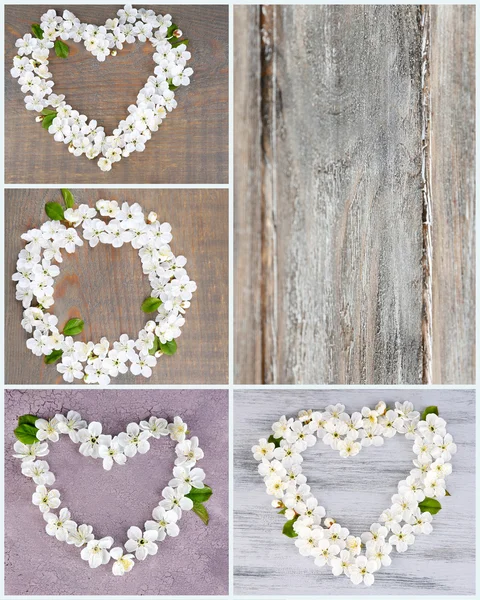 Collage van foto's met bloemen op houten achtergrond — Stockfoto