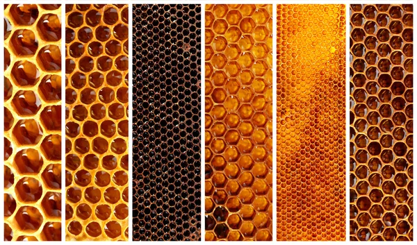 Honeycomb collage — Stockfoto