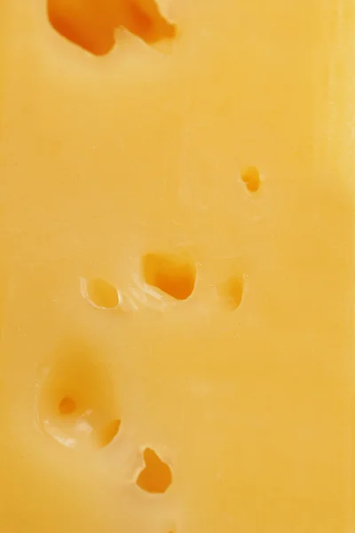 Close-up of cheese (macro) — Stock Photo, Image