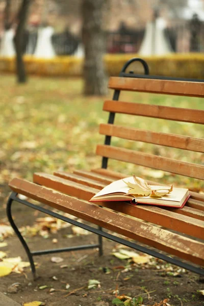 Livre ouvert avec feuille couchée sur banc brun dans le parc d'automne — Photo