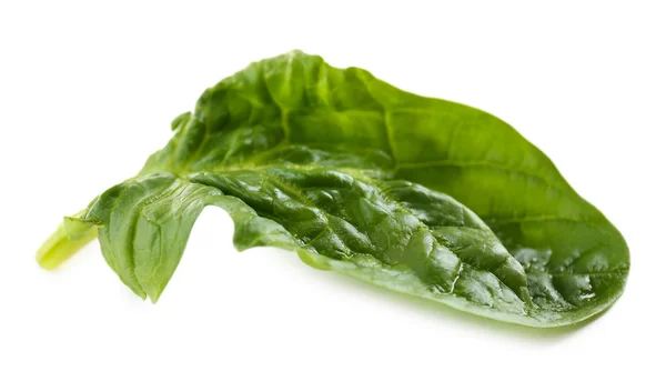 Spinach leaf isolated on white — Stock Photo, Image