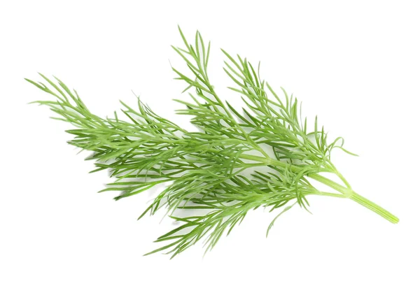 Sprig of dill isolated on white — Stock Photo, Image