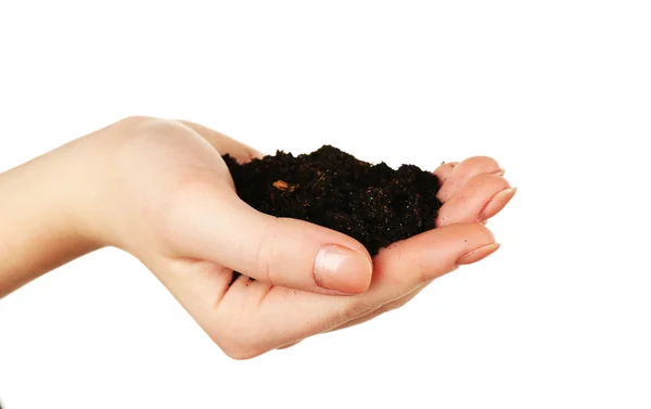 Handful of soil — Stock Photo, Image