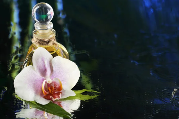 Orchid flower with bottle of perfumes