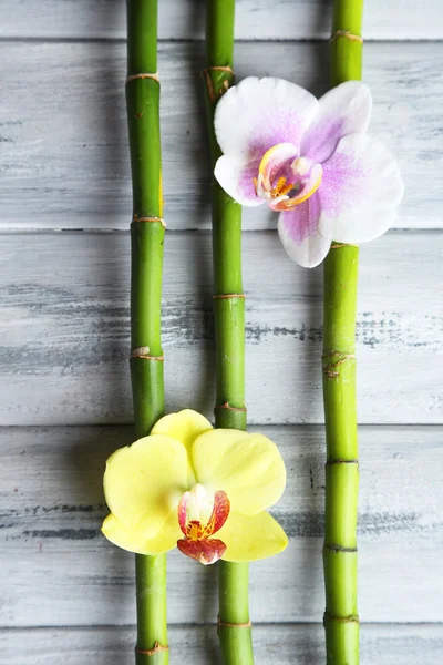 蘭の花と木製の背景に山の石と竹 — ストック写真