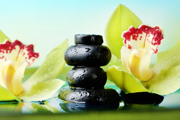 Piedras de spa con gotas de agua y hermosa orquídea en flor en agua sobre fondo natural —  Fotos de Stock