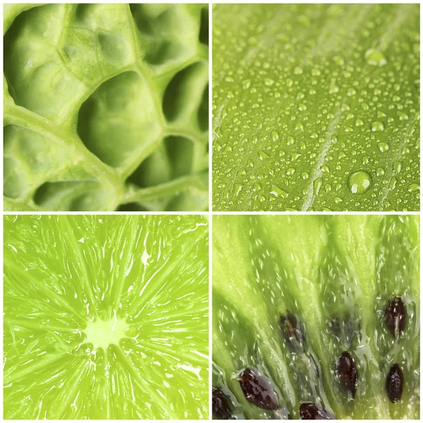 Collage green color samples Stock Photos, Royalty Free Collage green