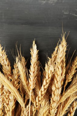 spikelets buğday