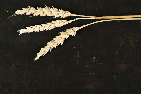 колоски пшеницы
